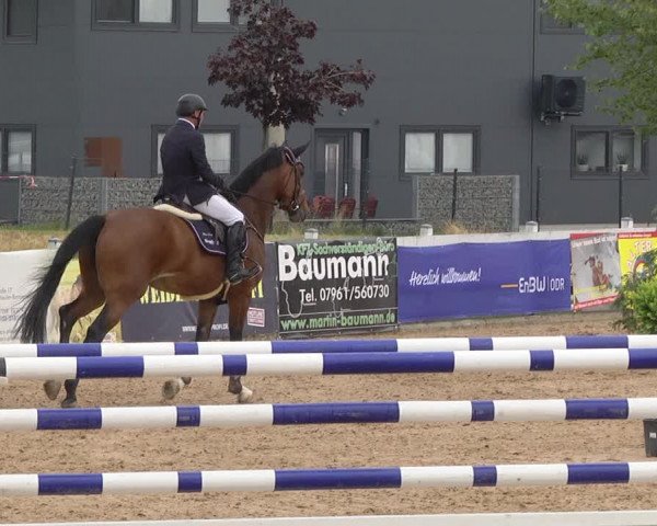 Reitturnier Jagstzell 2019