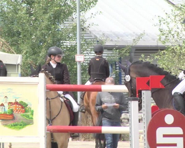 Reitturnier Jagstzell 2019