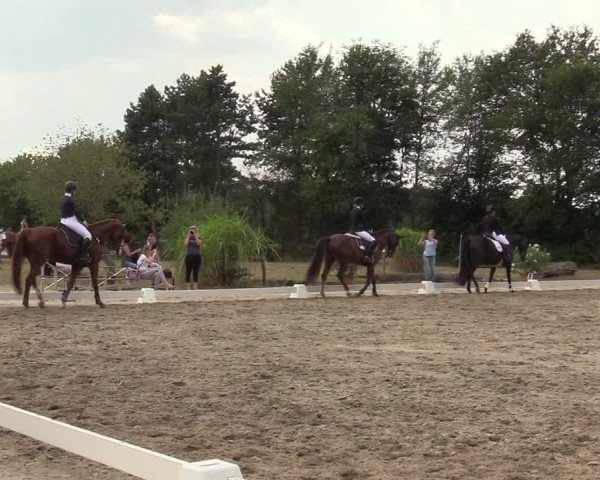Reitturnier Olfen-Vinnum 2019