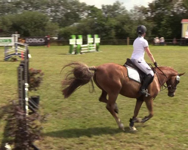 Reitturnier Sollerup 2019