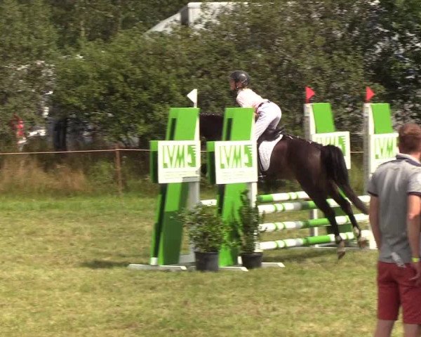 Reitturnier Sollerup 2019