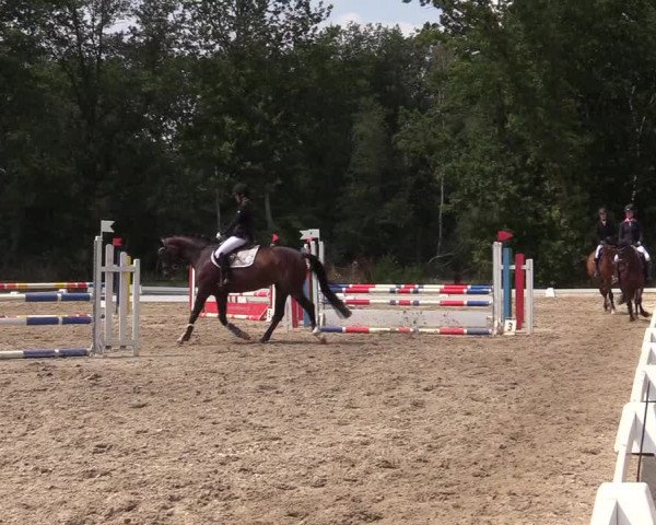 Reitturnier Olfen-Vinnum 2019