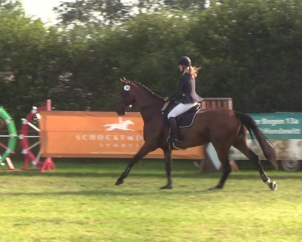 Reitturnier Sollerup 2019