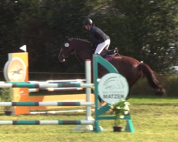 Reitturnier Sollerup 2019