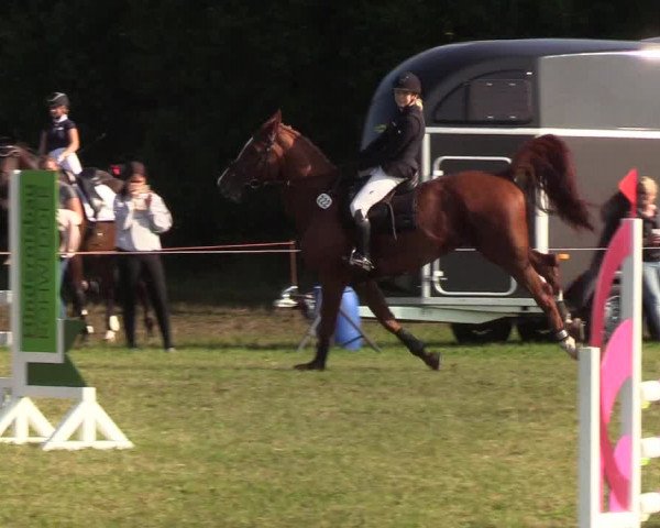 Reitturnier Sollerup 2019