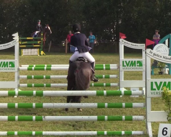 Reitturnier Sollerup 2019