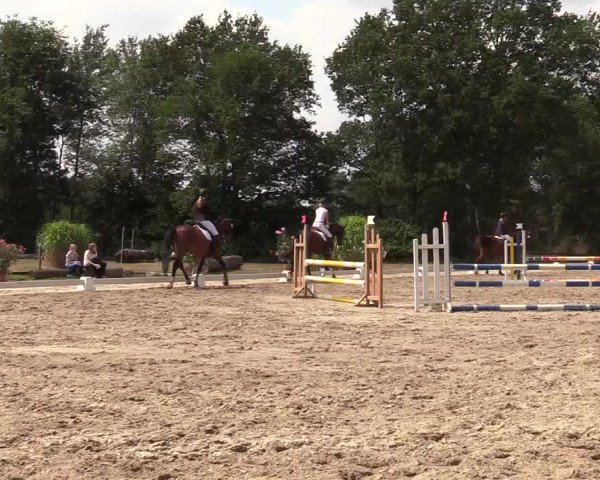 Reitturnier Olfen-Vinnum 2019