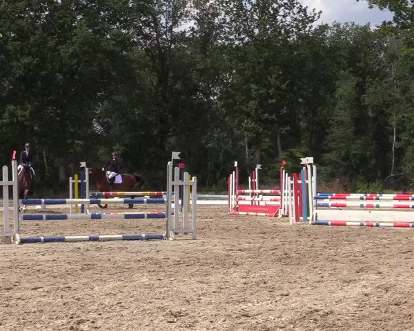 Reitturnier Olfen-Vinnum 2019