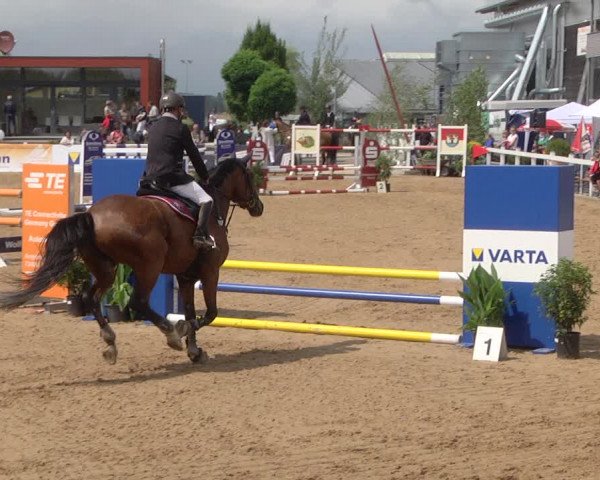 Reitturnier Jagstzell 2019