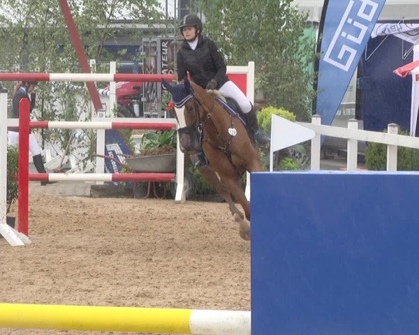 Reitturnier Jagstzell 2019
