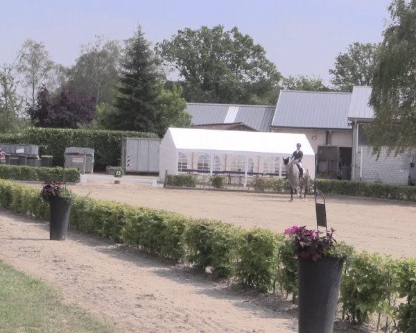 Reitturnier Olfen-Vinnum 2019