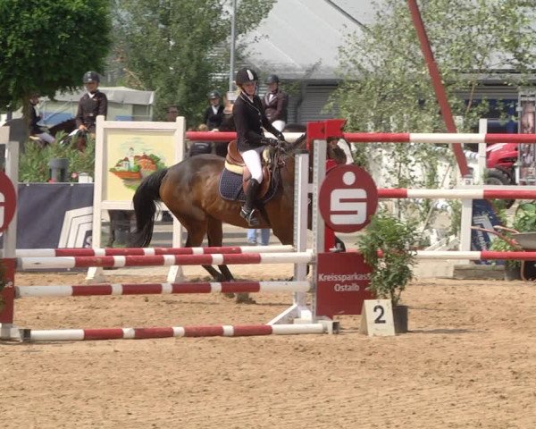 Reitturnier Jagstzell 2019