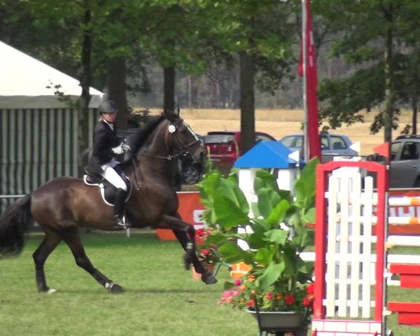 Reitturnier Zobbenitz 2019
