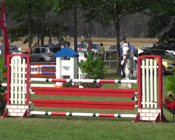 Reitturnier Zobbenitz 2019