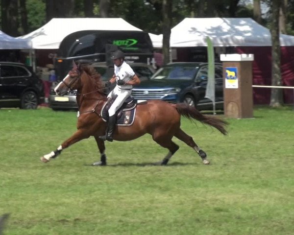 Reitturnier Zobbenitz 2019