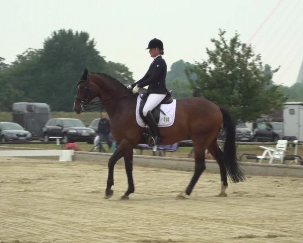 Reitturnier Neuss-Uedesheim 2019