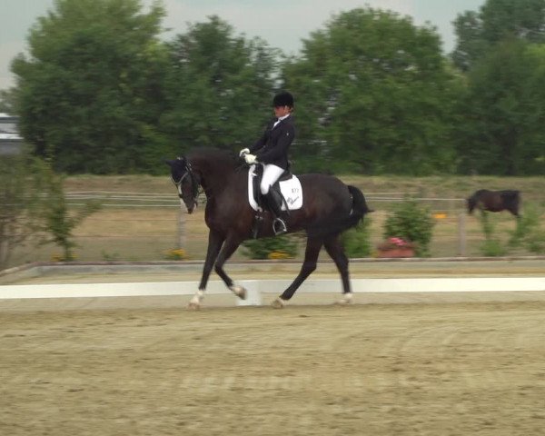Reitturnier Neuss-Uedesheim 2019
