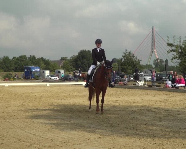 Reitturnier Neuss-Uedesheim 2019