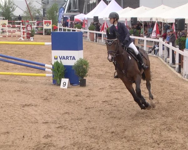 Reitturnier Jagstzell 2019