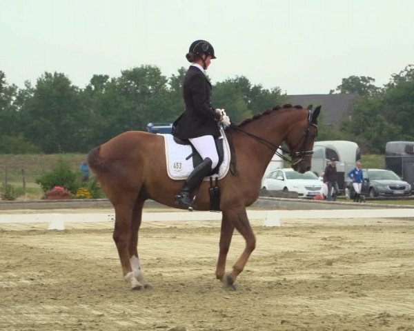 Reitturnier Neuss-Uedesheim 2019