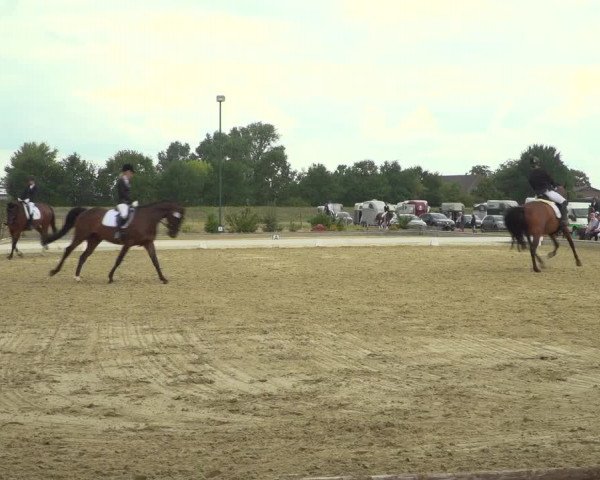 Reitturnier Neuss-Uedesheim 2019