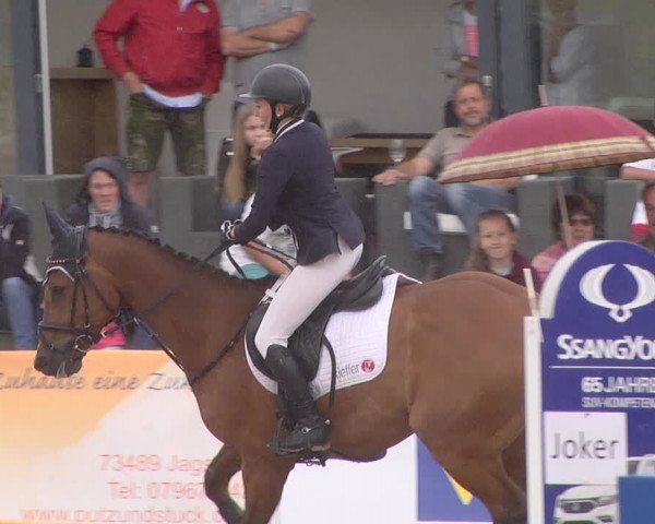 Reitturnier Jagstzell 2019