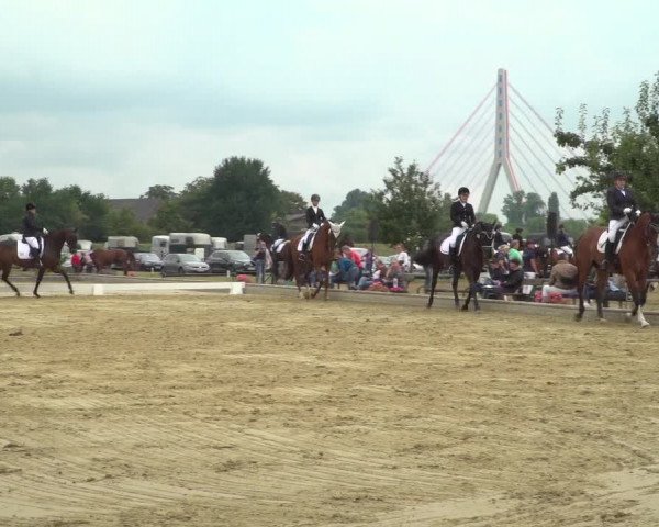 Reitturnier Neuss-Uedesheim 2019