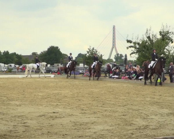 Reitturnier Neuss-Uedesheim 2019