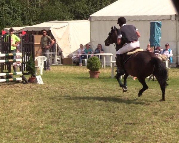 Reitturnier Sollerup 2019