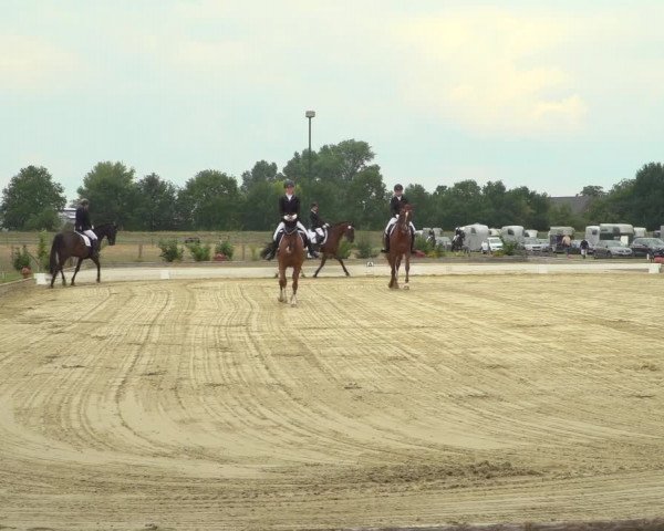 Reitturnier Neuss-Uedesheim 2019
