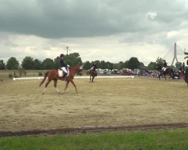 Reitturnier Neuss-Uedesheim 2019