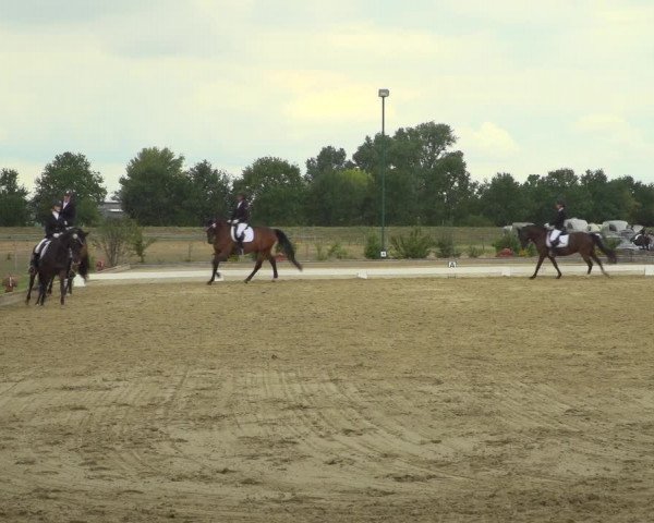 Reitturnier Neuss-Uedesheim 2019