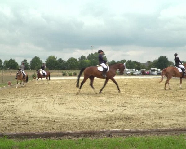 Reitturnier Neuss-Uedesheim 2019