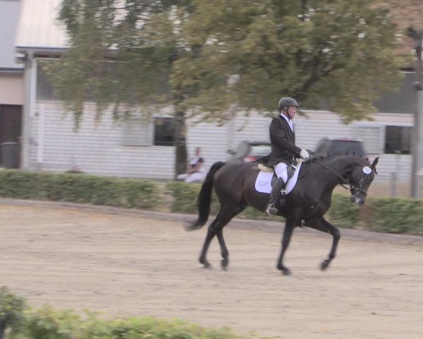Reitturnier Olfen-Vinnum 2019