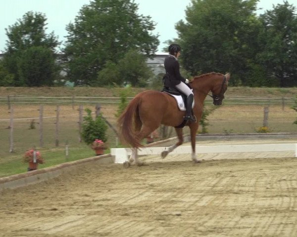 Reitturnier Neuss-Uedesheim 2019