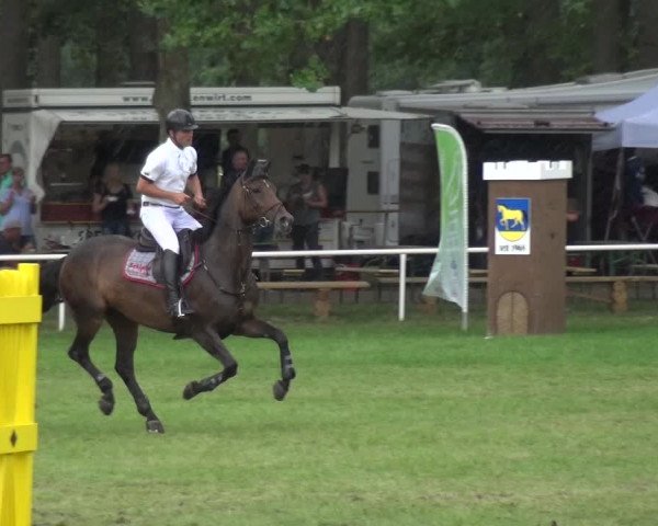 Reitturnier Zobbenitz 2019