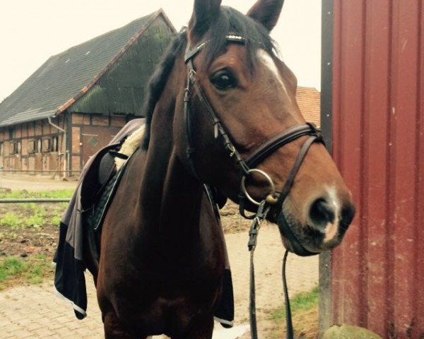 broodmare Lordania (Hanoverian, 2010, from Lordanos)
