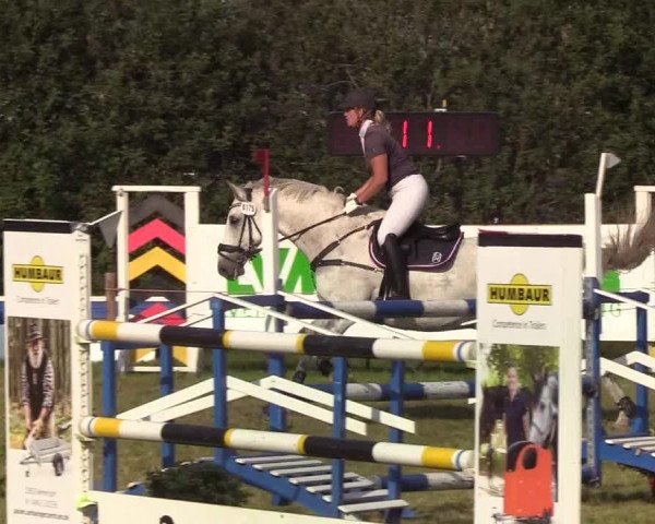 Reitturnier Sollerup 2019