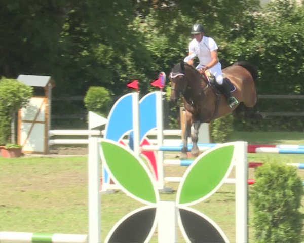 Reitturnier Langenthal 2019
