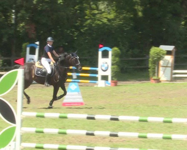 Reitturnier Langenthal 2019