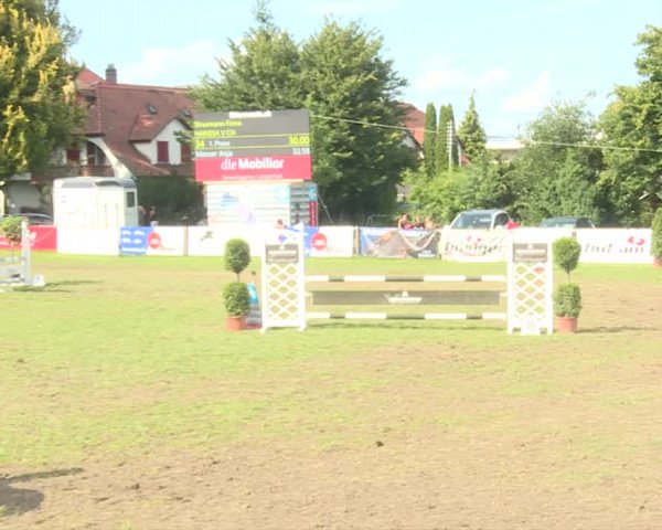 Reitturnier Langenthal 2019
