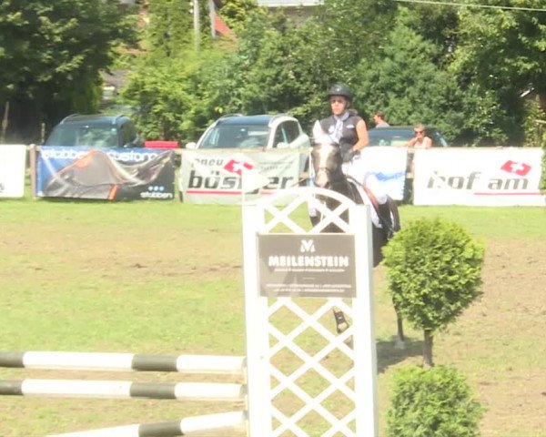 Reitturnier Langenthal 2019