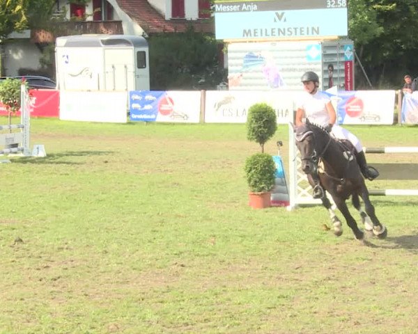 Reitturnier Langenthal 2019