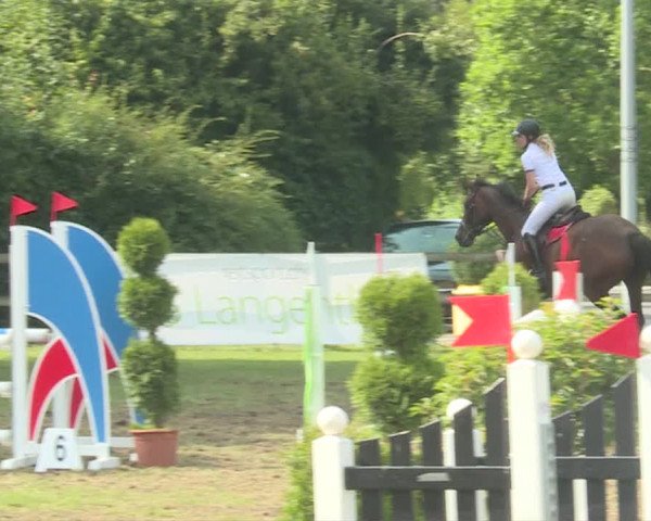 Reitturnier Langenthal 2019