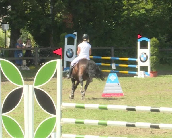 Reitturnier Langenthal 2019