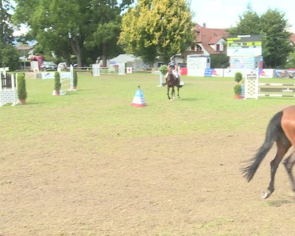 Reitturnier Langenthal 2019