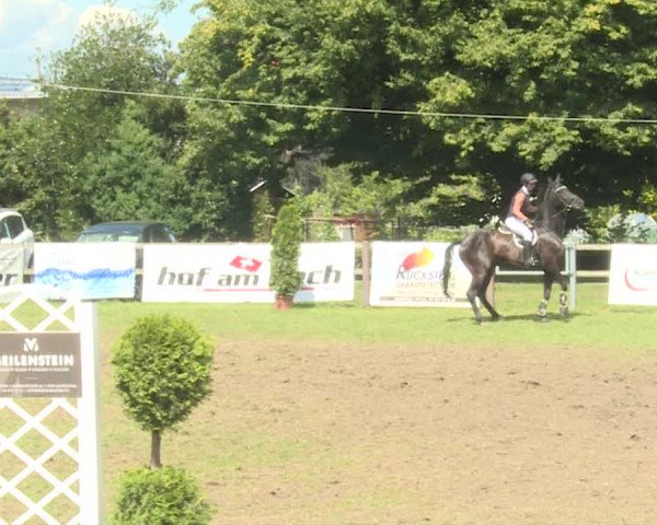 Reitturnier Langenthal 2019