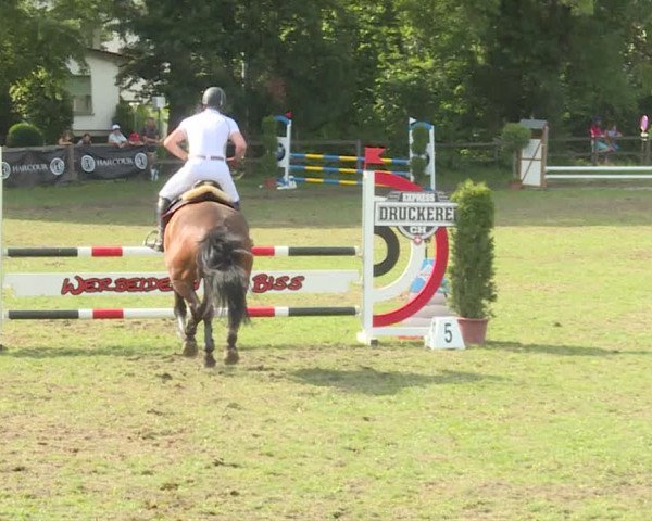 Reitturnier Langenthal 2019