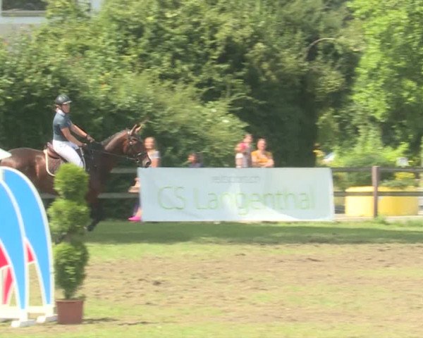 Reitturnier Langenthal 2019