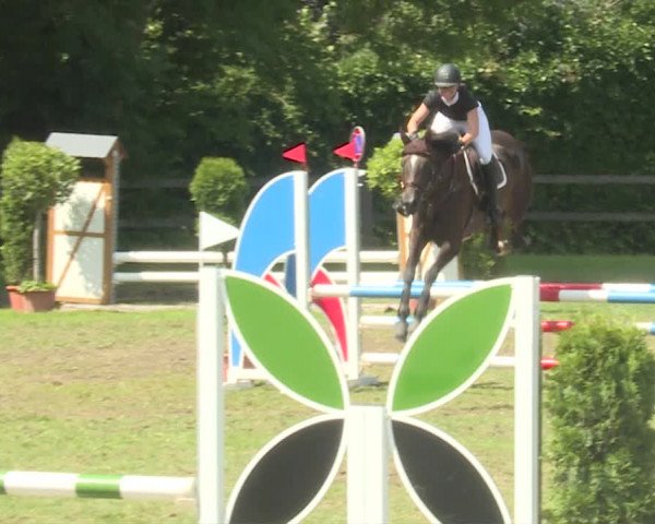 Reitturnier Langenthal 2019